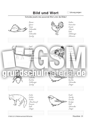 BuW Haustiere31.pdf